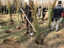 صدور حکم سبز برای شکارچی متخلف مهابادی/ محکوم شدن به غرس پنجاه اصله نهال