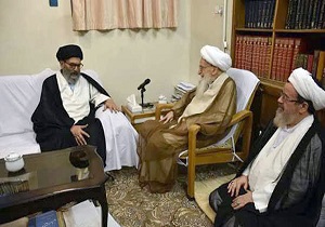 دیدار آیت الله صافی گلپایگانی با حجت الاسلام نقوی در قم