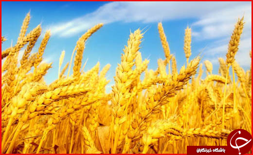 امروز در استان ها چه گذشت؟