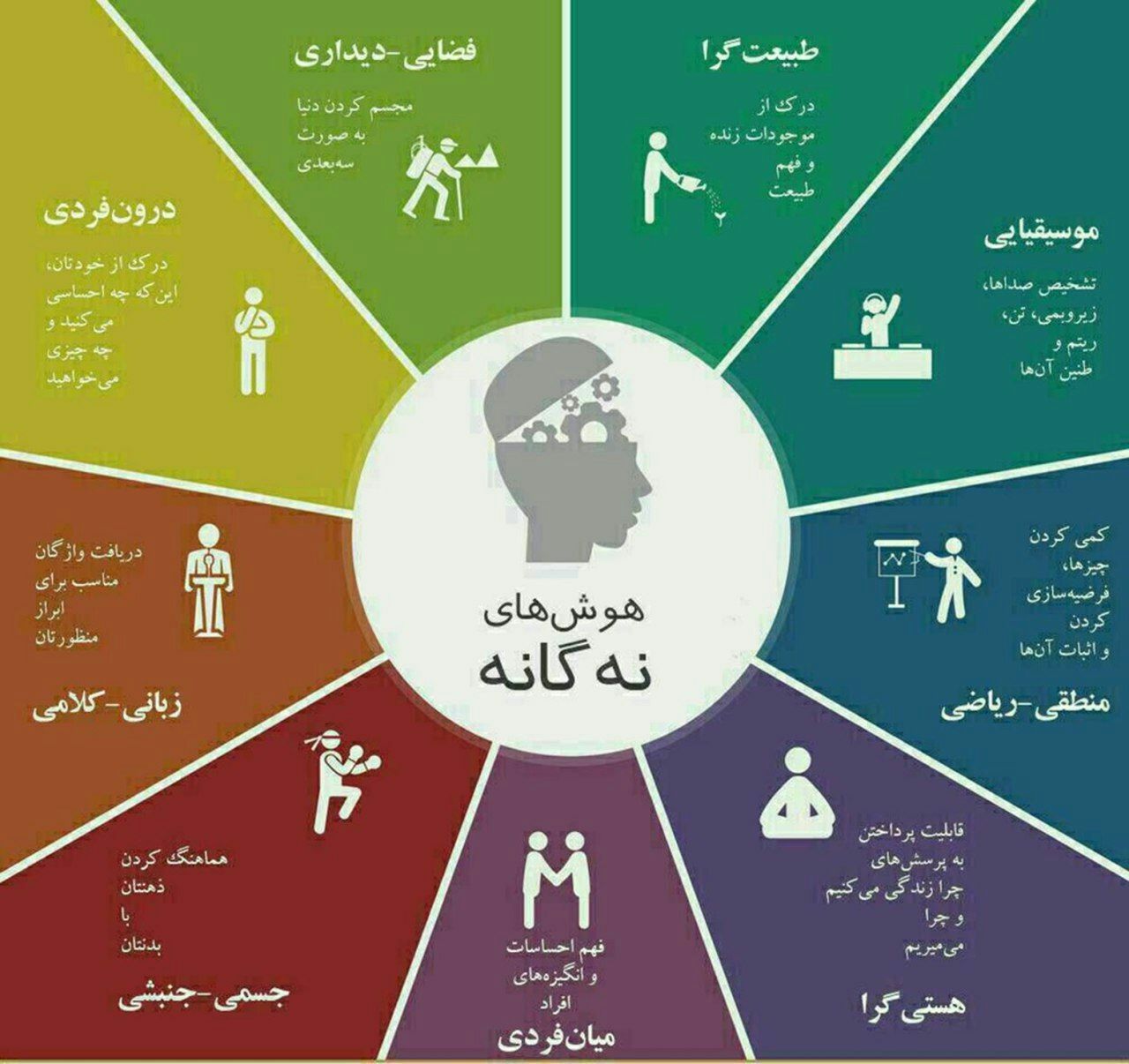 با هوش های نه گانه آشنا شوید+اینفوگرافی