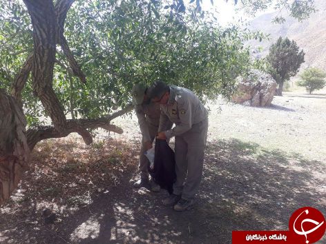 پاکسازی حاشیه دریاچه گهر با کمک دوست داران محیط زیست پاکسازی حاشیه دریاچه گهر با کمک دوست داران محیط زیست