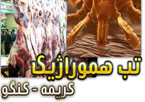 سم پاشی روستاهای همدان در پیشگیری از بیماری تب کریمه کنگو