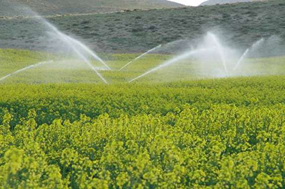 طرح بزرگ آبیاری تحت فشار  اراضی کشاورزی پهله و پرچین آبان ماه به بهره برداری می رسد