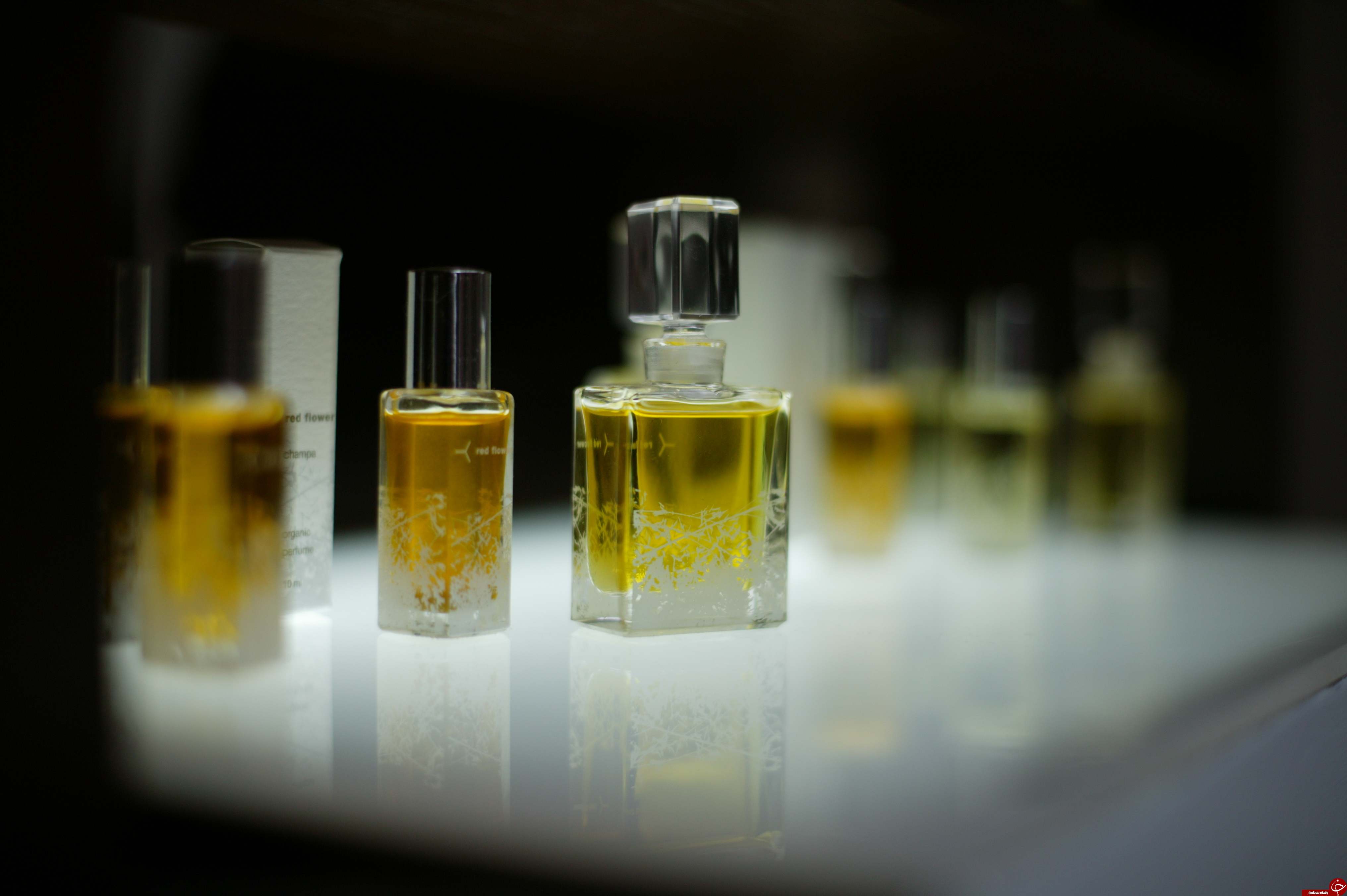 چرا عطر دوری می آورد؟! / پشت پرده کادو دادن عطر و جدایی چیست؟ + احادیث معصومین(ع) پیرامون استفاده از عطر و هدیه دادن/ شایعه ای که مختص ایرانیان است!