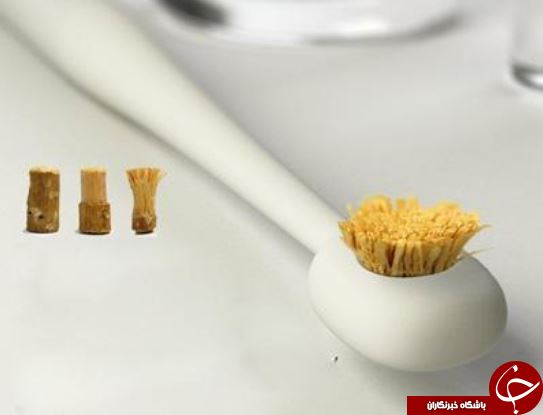 :)معرفی چوب مسواک + طریقه مصرف و فواید / نوع مسواکی که در منابع روایی بر آن تأکید شده، چه نوع مسواکی است؟:)