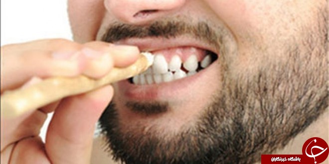 :)معرفی چوب مسواک + طریقه مصرف و فواید / نوع مسواکی که در منابع روایی بر آن تأکید شده، چه نوع مسواکی است؟:)