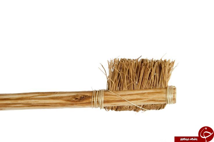 :)معرفی چوب مسواک + طریقه مصرف و فواید / نوع مسواکی که در منابع روایی بر آن تأکید شده، چه نوع مسواکی است؟:)