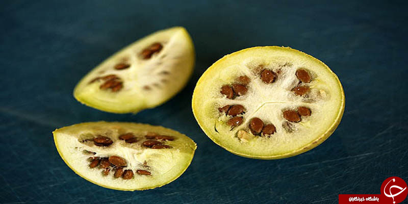 :)حنظل چیست؟ + خواص آن در طب سنتی و عوارض مصرف / دستور تهیه روغن حنظل/ کاربرد حنظل در درمان دندان درد:)