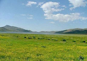 ممیزی 90 درصد از مراتع کشور