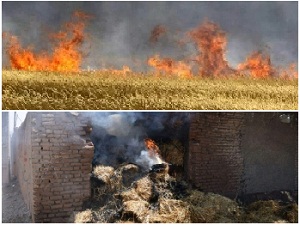 سوختن ۲۰ هکتار از مزارع گندم شازند در آتش /آتش سوزی انبار ذخیره علوفه در فراهان