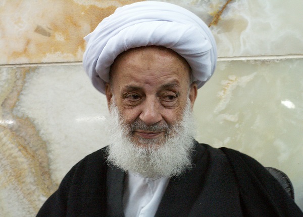 کنایه آیت الله مجتهدی تهرانی به افرادی که میگویند میشود به امام زمان(عج) هم انتقاد کرد+فیلم