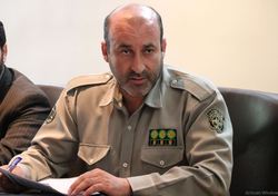 کشف سه هزار عقرب از یک منزل مسکونی در مشهد