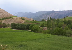 نگاهی به زیبایی‌های منطقه گردشگری میشخاص + فیلم