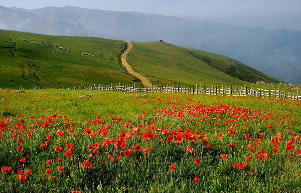 سوباتان سرزمین شگفتی&zwnj;ها