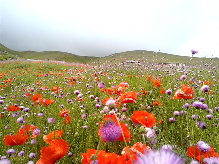 سوباتان سرزمین شگفتی&zwnj;ها