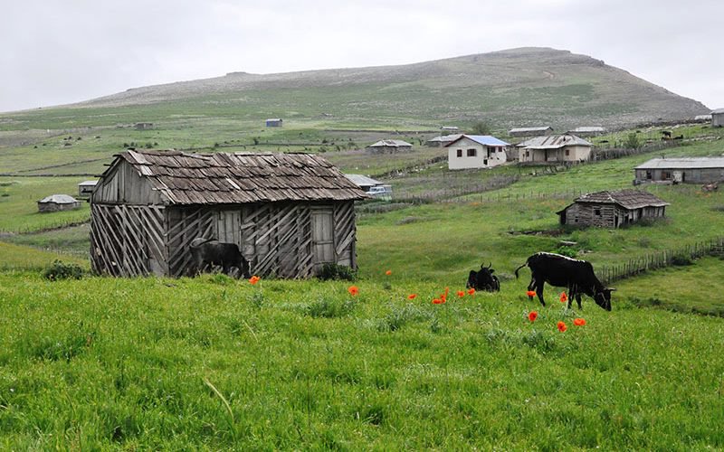 سوباتان سرزمین شگفتی&zwnj;ها