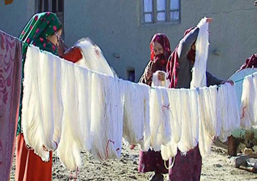 صادرات فرش دویدوخ به کشور&zwnj;های خارجی / خراسان شمالی خاستگاه فرش ابریشم دورو