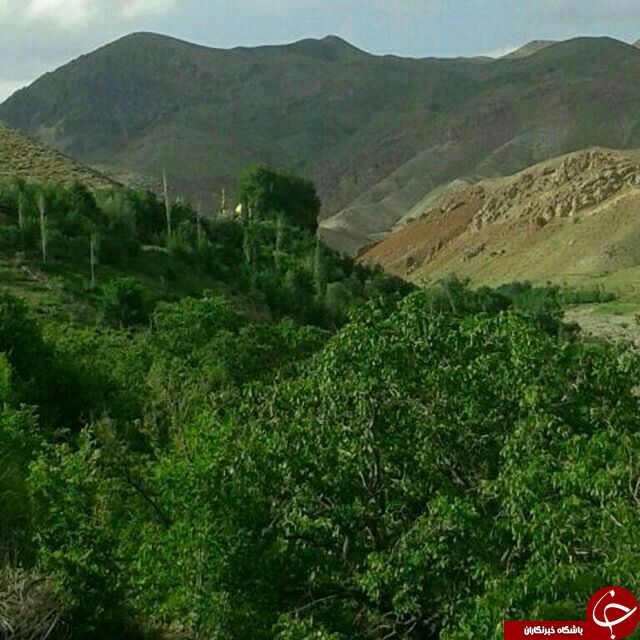 نمایی از طبیعت جذاب در روستای جهان + تصاویر