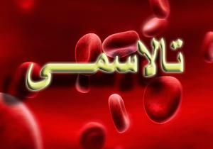 راه اندازی سرای سمن‌های سلامت در استان ایلام
