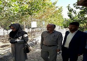 نگهداری۱۰۰ نوع پرنده و ده‌ها گونه علفخوار وحشی در منطقه سریزد