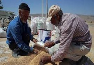 پرداخت ۲۴۵ میلیارد تومان از مطالبات گندم‌کاران لرستانی