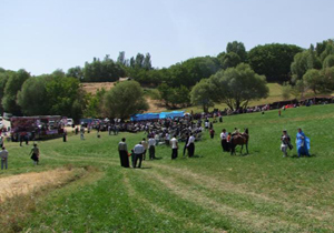 جشنواره مال کنون در کوهرنگ برگزار شد