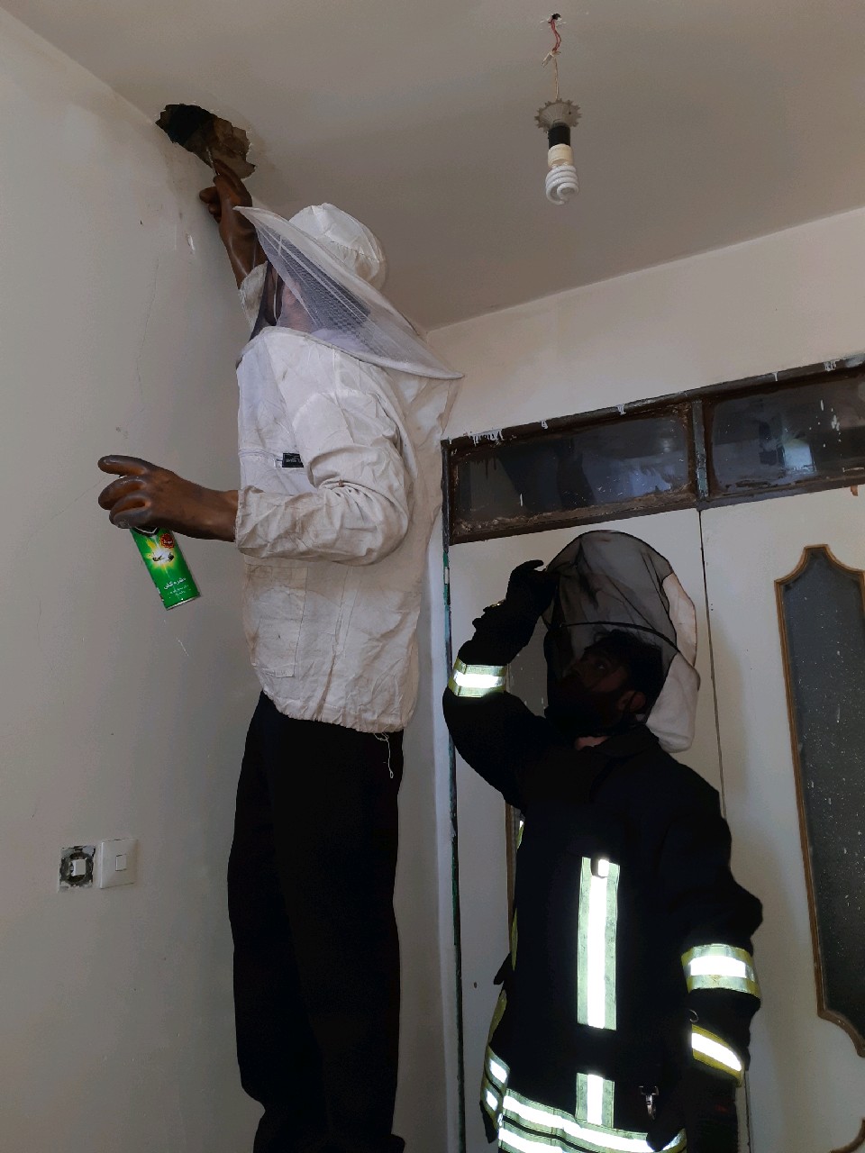 غافلگیری شهروندان مشهدی توسط زنبور‌ها
