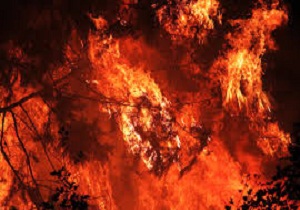 بیش از ۳۸ هکتار از منابع طبیعی کرمانشاه طعمه حریق شدند