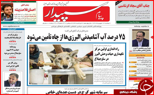 از معمای افزایش قیمت گوشت تا مصوبه خوب مجلس