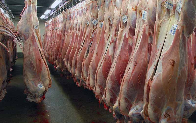 بازار گوشت قرمز تعریفی ندارد/افزایش 2 هزار تومانی نرخ گوساله زنده در بازار