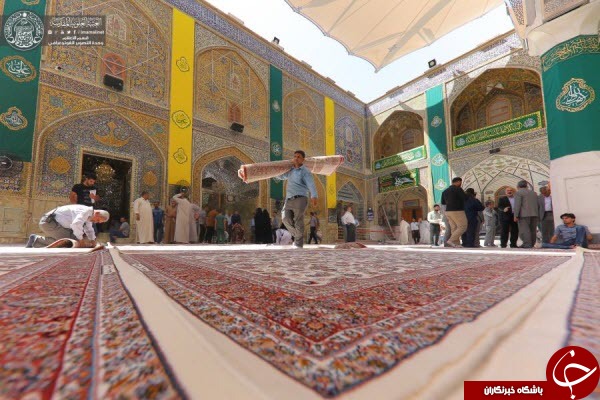 تصاویری از حرم علوی مفروش به فرش&zwnj;های فاخر کاشانی+عکس