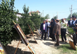 رنگین کمان در سرخ رود