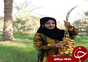 برگزاری نخستین جشنواره استانی برداشت رطب و خرما در شهرستان کارون