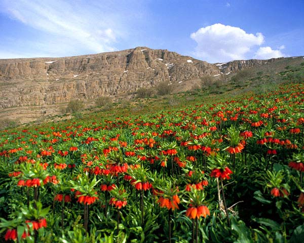 بین&zwnj;النهرین ایران کجاست؟
