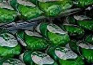 نظارت بهداشتی بر تولید ۶۸۳ تن مرغ بدون آنتی بیوتیک