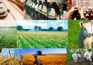 پایان مسابقات شنای آب‌های آزاد انتخابی در ارومیه
