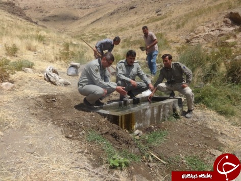 بازدید محیط بانان از پناهگاه حیات وحش سفید کوه سفید کوه ازنا بازدید محیط بانان از پناهگاه حیات وحش سفید کوه سفید کوه ازنا