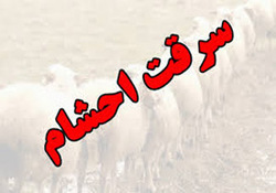 سارقان احشام در رومشکان دستگیر شدند