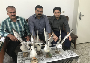 دستگیری شکارچیان غیرمجاز در ۳ شهر مازندران