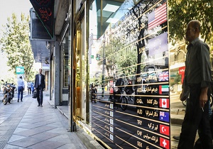 برای برخورد با صرافی‌های غیرمجاز منتظر فهرست بانک مرکزی هستیم