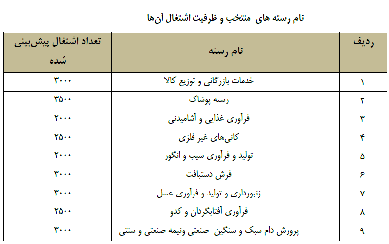 مشاغل منتخب استان&zwnj;های کشور کدامند؟+ جزئیات