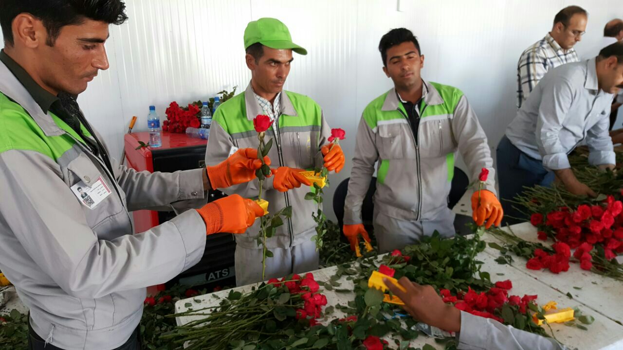 بخشش از دارایی نیست از دل بزرگ است
