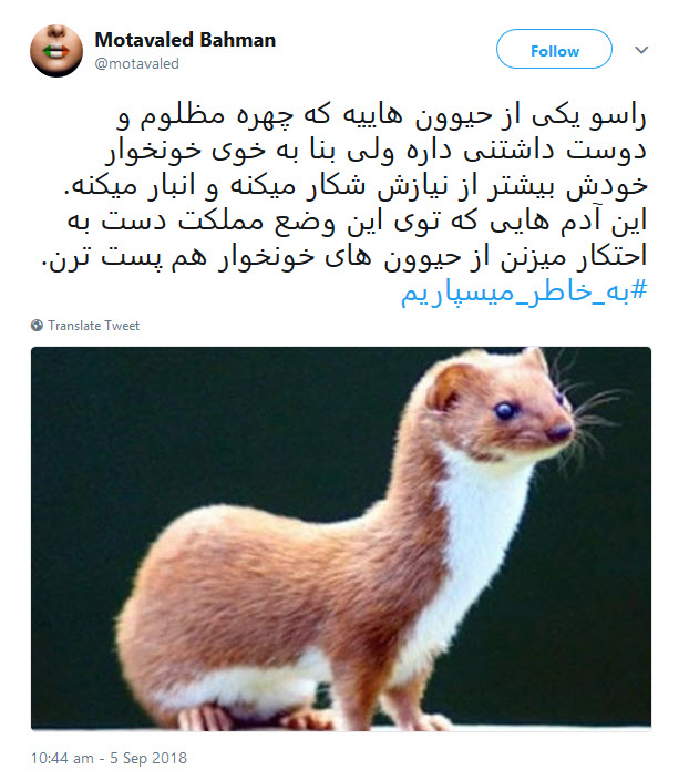 پاسخ کاربران به محتکران و کم&zwnj;فروشان: #به_خاطر_میسپاریم
