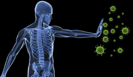 اصول ضروری حیات در طب سنتی را بشناسید