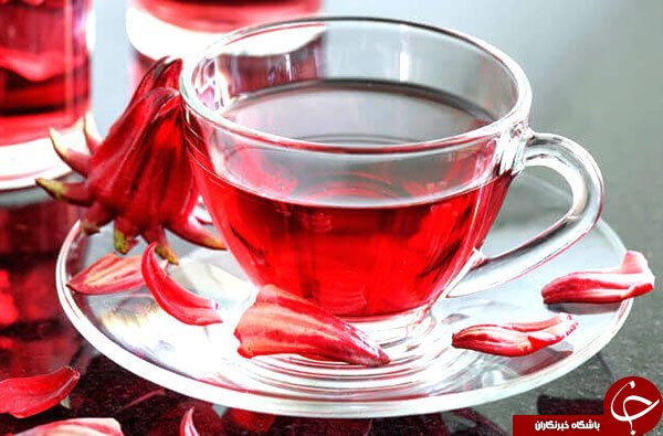 مزایا و معایب چای مکه را بشناسید! / چای هیبیسکوس چیست؟