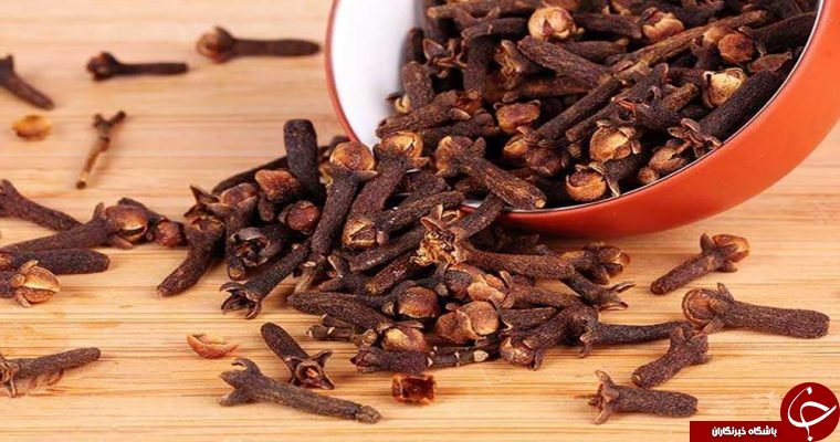 خواص گل میخک در طب سنتی +عوارض و نحوه مصرف