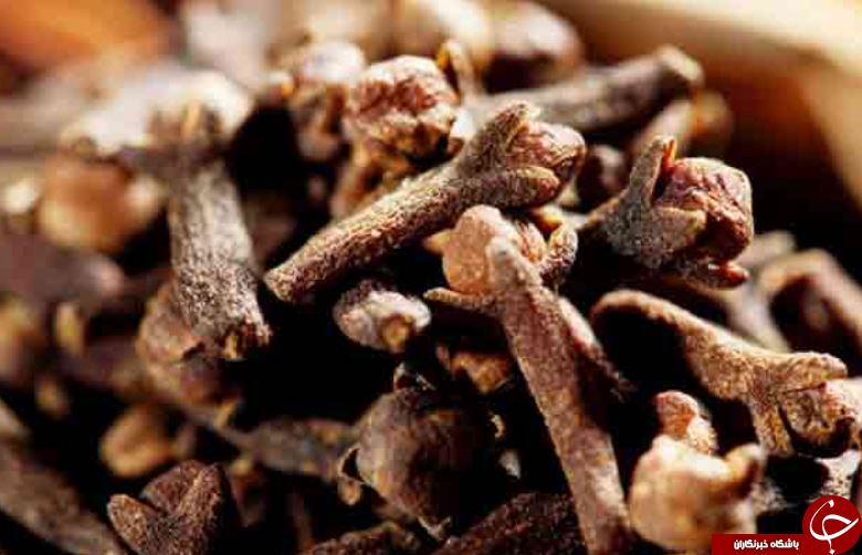 خواص گل میخک در طب سنتی +عوارض و نحوه مصرف
