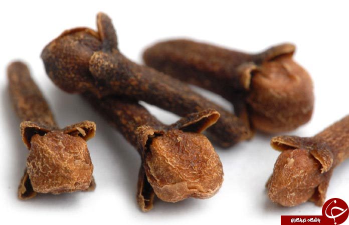 خواص گل میخک در طب سنتی +عوارض و نحوه مصرف