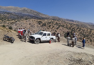 زمین‌های مشجر روستای لات الموت غربی طعمه حریق شد