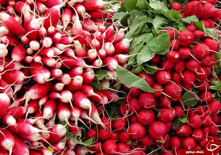 معرفی خواص اعجاب انگیز تربچه و برگهای آن معرفی خواص اعجاب انگیز تربچه و برگهای آن